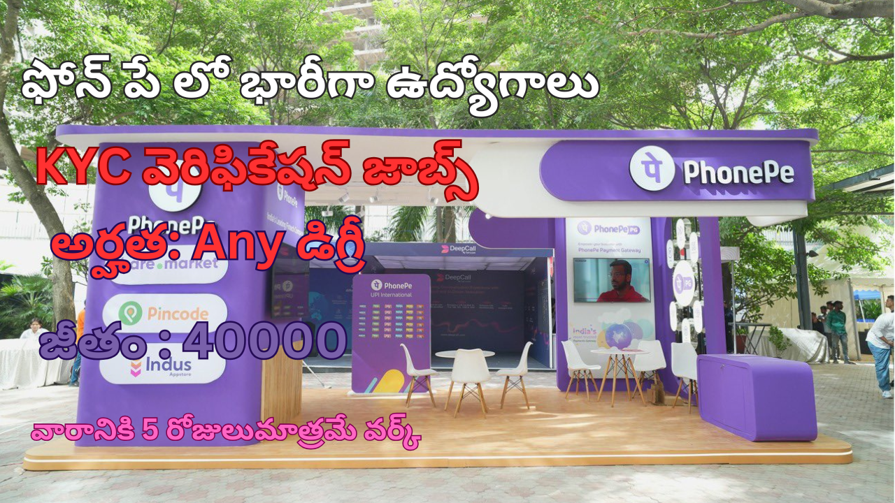 Phone Pe Jobs