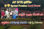 Ap NTR Bharosha Spouse Pensions Ap NTR Bharosha
