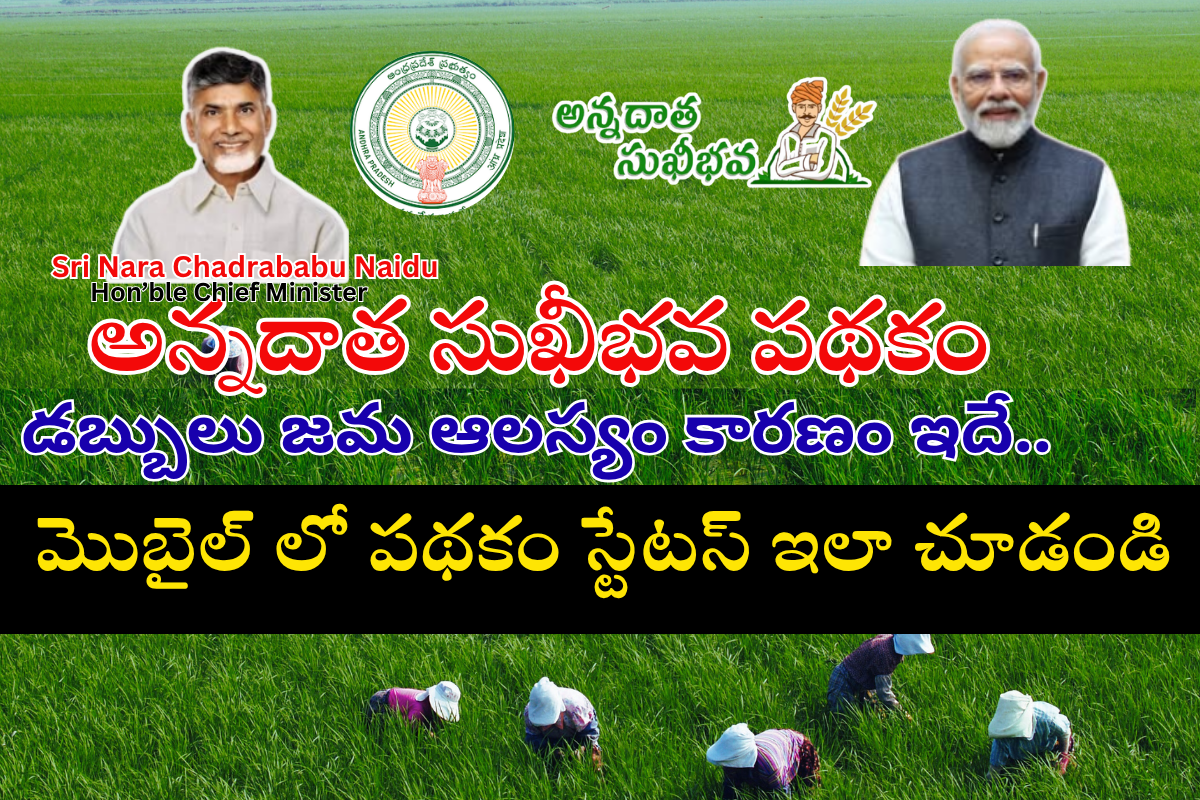 Annadata sukhibhava scheme 2025 status check here