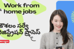 How to apply for Koushalam survey // Work from home jobs in telugu
